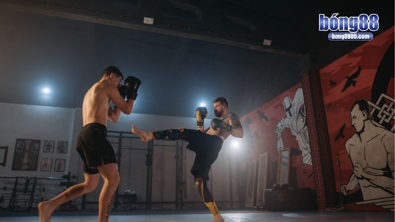 Bí quyết làm giàu từ cá độ quyền anh