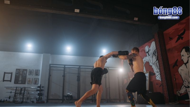 Cá độ MMA - Chiến lược đặt cược thông minh, hiệu quả Cá độ MMA là gì?