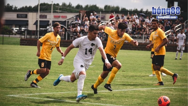 Cẩm nang bắt kèo chuẩn không lối thoát