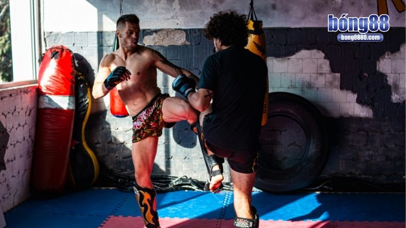 Chiến thuật cá độ MMA đa dạng, tối ưu cơ hội