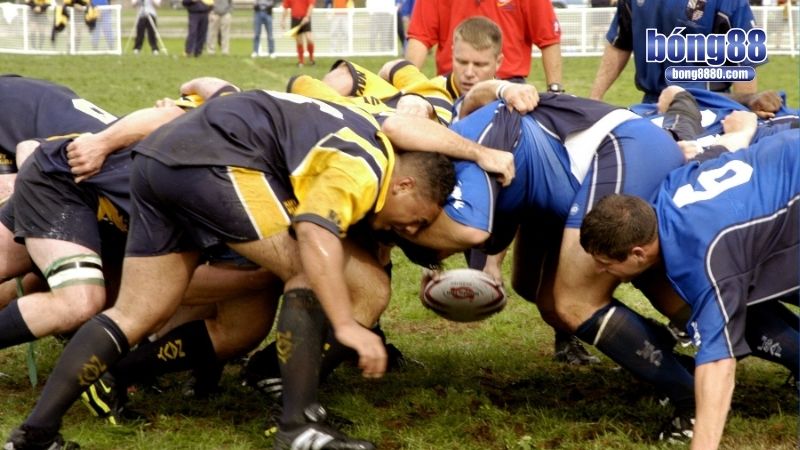 Chơi cá độ bóng bầu dục hiệu quả cần kết hợp nhiều tuyệt chiêu