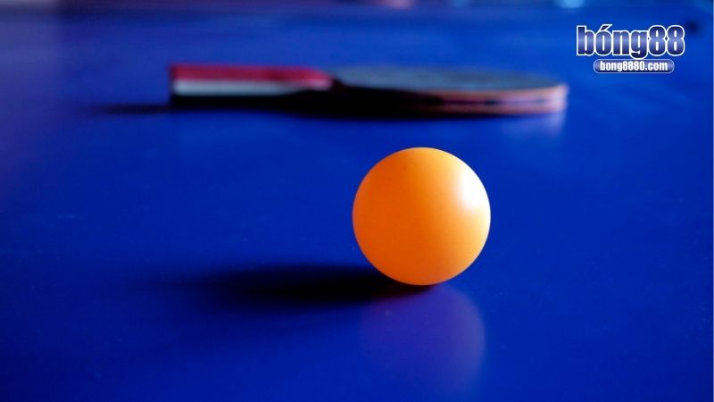 Cược bóng bàn đa dạng sự lựa chọn hấp dẫn