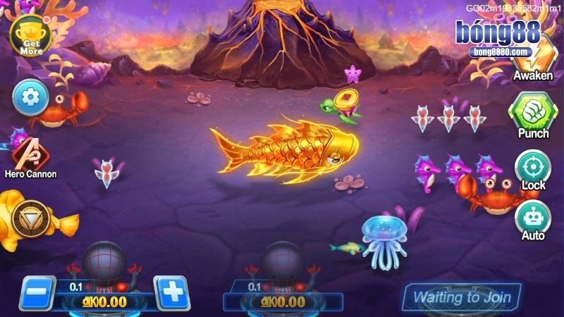 Thủ thuật săn cá chinh phục mọi con mồi