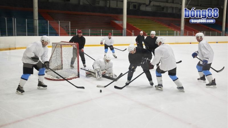 Cá độ hockey đỉnh cao - Soi kèo chuyên nghiệp, thắng chắc Bí kíp cá độ hockey xanh chín cho tân thủ