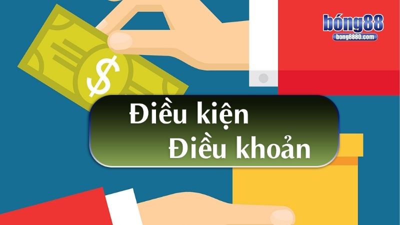 Các quy định về chính sách quản lý thành viên tham gia