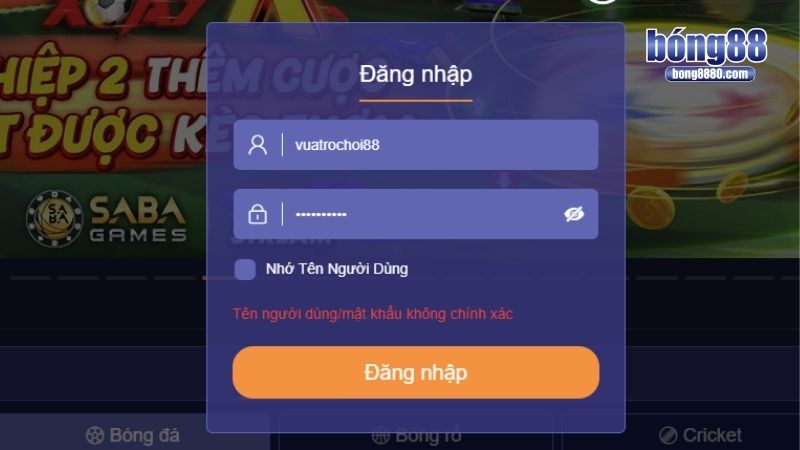 Lỗi sai thường gặp khi truy cập vào trang chủ