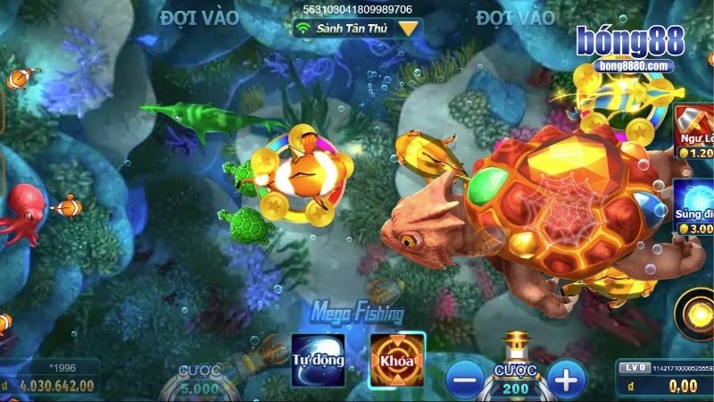 Quan sát và khai thác các bầy cá khi chúng xuất hiện