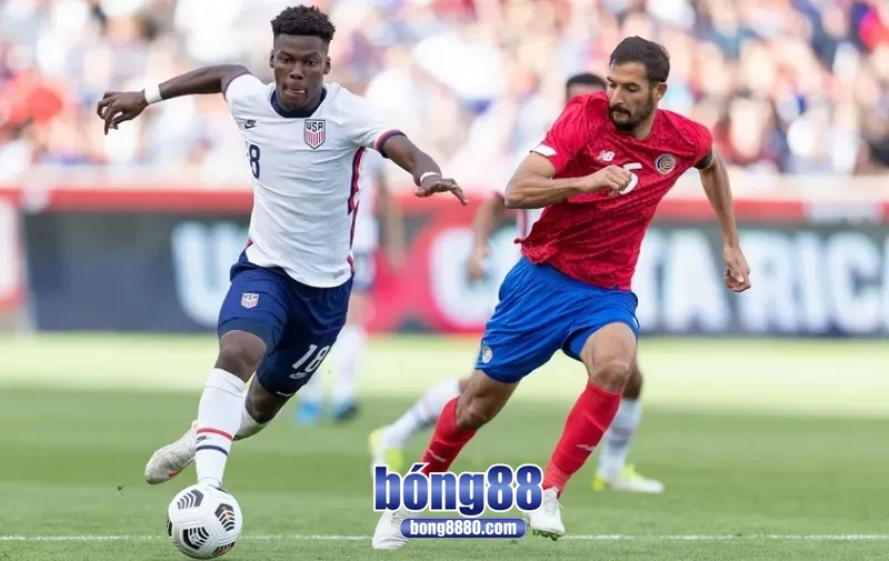 Mỹ vs Costa Rica 06h00 ngày 30/6 tại tứ kết Gold Cup 2025 Đội tuyển Mỹ đang được đánh giá cao hơn Costa Rica