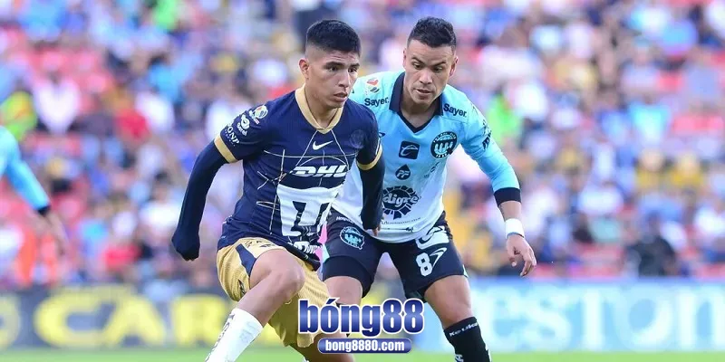 Hai đội tuyển Queretaro và Pumas được đánh giá ngang tài ngang sức