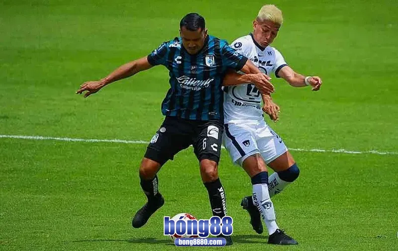 Dự đoán kết quả Queretaro 1-1 Pumas