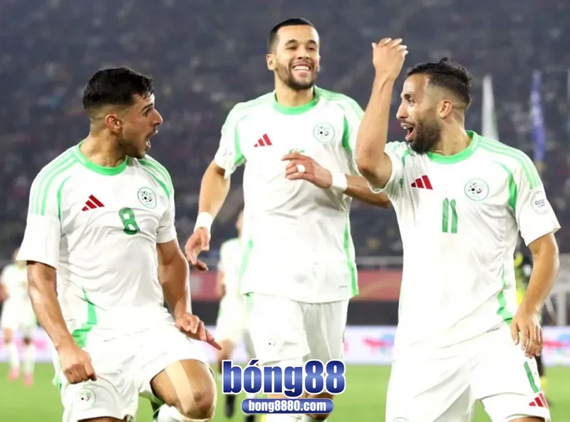 Nhận định Guinea vs Algeria 15/8/2025 tại CAN 2024 Đội tuyển Algeria đang có phong độ tốt