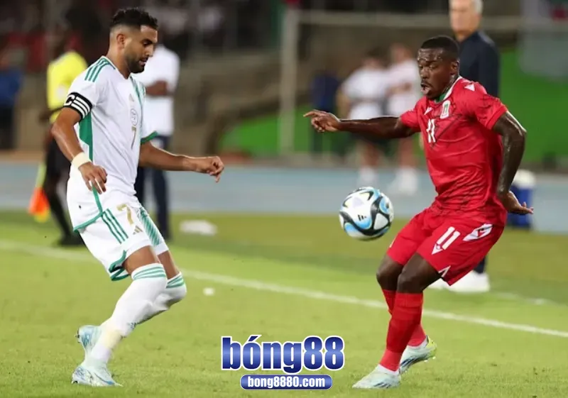 Nhận định Guinea vs Algeria 15/8/2025 tại CAN 2024 Dự đoán kết quả Guinea 1-2 Algeria